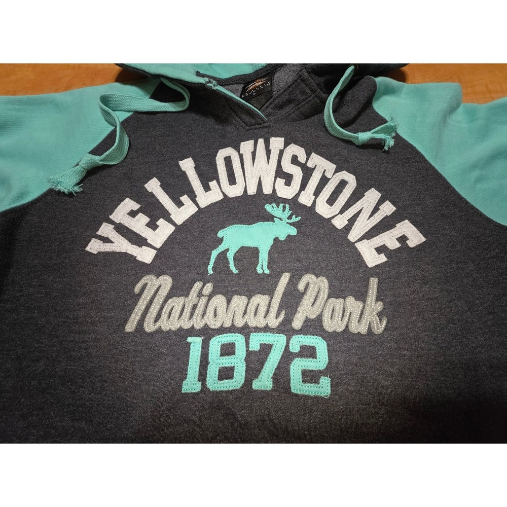 Prairie Mountain Yellowstone National Park Hoodie Gray Mint Green Womens Large - Picture 3 of 7